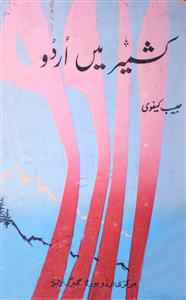 Kashmir Mein Urdu